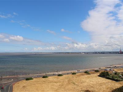 Picture 30